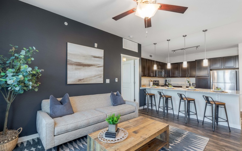 Apartment Amenities